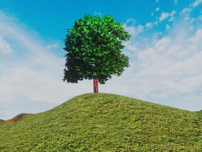 Hill Tree Free 3D model