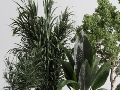 indoor plant 557 pot plant tree metal and marble dirt vase 3D model