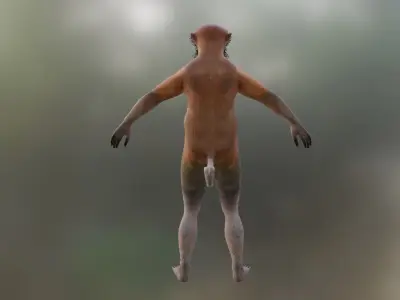 Bekantan Proboscis Monkey Low-poly 3D model
