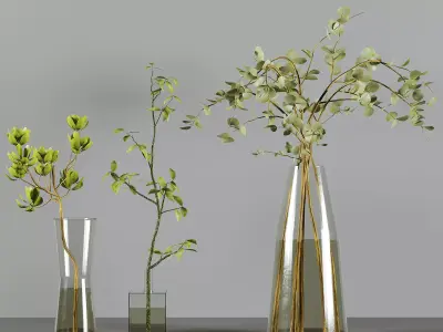 Collaction Indoor Plants 3D model