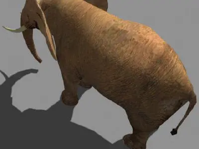 SUPERB LOW-POLY ELEPHANT - 3d model Low-poly 3D model