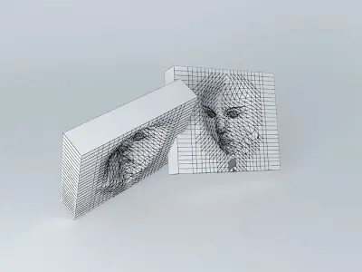 Magic Face From Baby to Adult Free 3D model