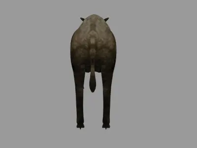 Boar - Javali Low-poly 3D model