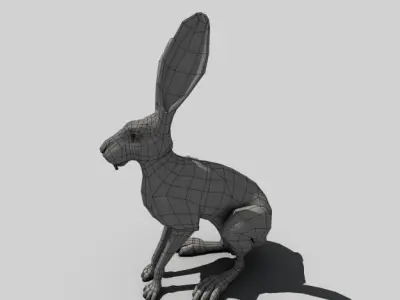 Jack Rabbit 3D model