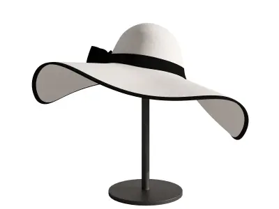 Woman hat 3 3D model