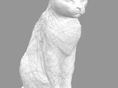 Cat for 3d printing 3D print model 3D model