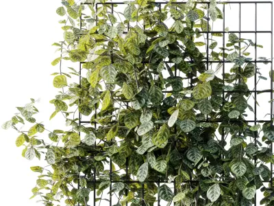 Plants set partition in metal frame 103 - Vertical graden ivy 3D model