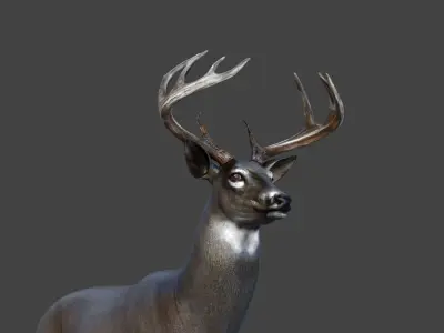 Male Deer Low-poly 3D model