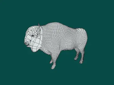 European Bison Male 3D model