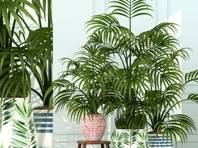 Plants collection 51 3D model