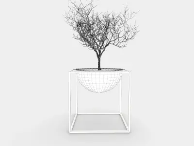 Plant stand bowl 3D model