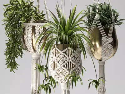 Macrame Plants Hanger 3D model