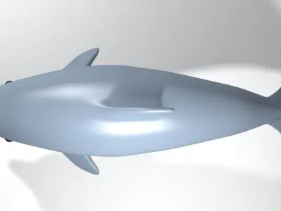 Dolphin - Oceanic 3D model