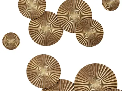 Everly quinn 6 piece sunburst decorative 3D model