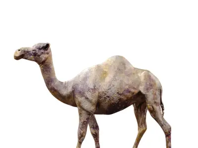 Camel Statue set 765 Low-poly 3D model