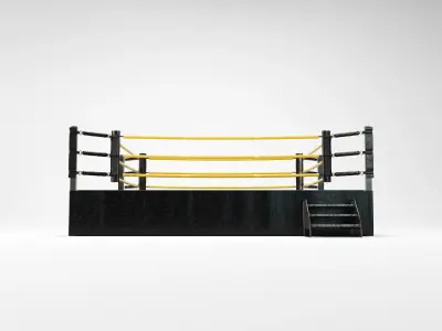 Wrestling Ring REGULATION SIZE 3D model