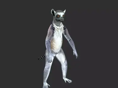 Ring Tailed Lemur 3D model
