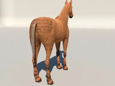 horse 3D model 31