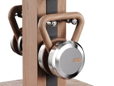 Lova Vertical Kettlebell Set Full 3D model