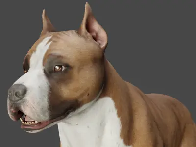 DOG - PITBULL Low-poly 3D model