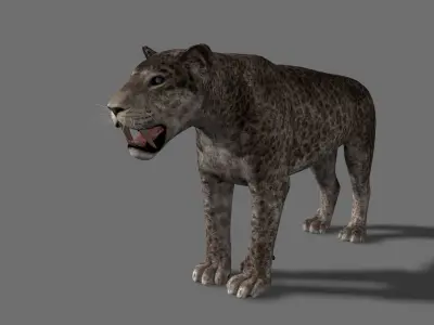 Female Sabretooth - 3d animated model 3D model