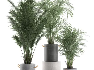 Decorative palm in a flowerpot 598 3D model