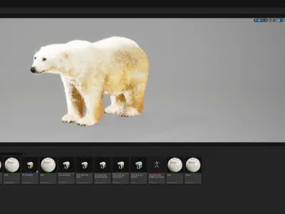 Polar Bear Rig UNREAL project  Maya base rig 3D model