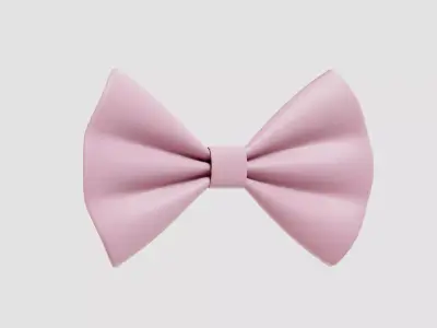 Pink bow 3d model Low-poly 3D model