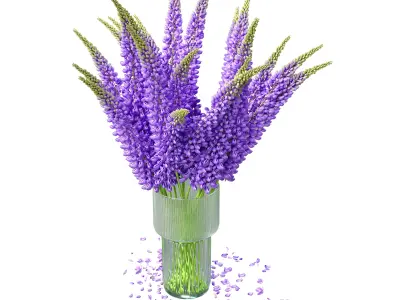 Bouquet of lupinus flowers 3D model