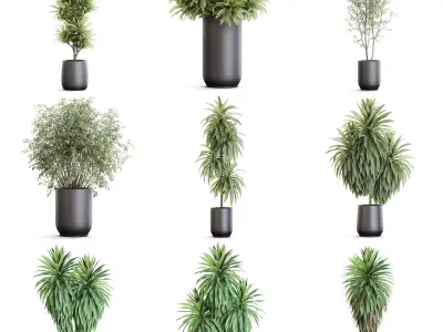 Plants collection vol 51