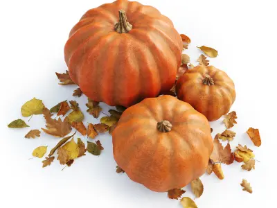 Set of pumpkins with leaves 3D model