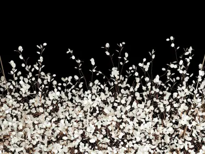 Hanging Installation Bouquet Dried Flowers Lunaria branches 568 3D model