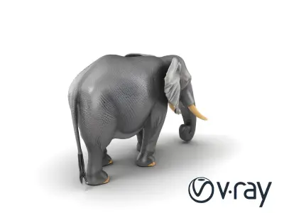 Majestic African Elephant 3D model pack Low-poly 3D model