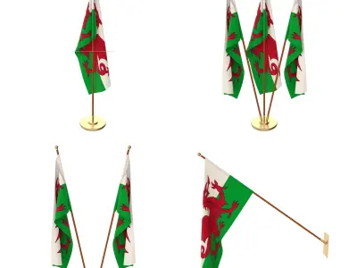 Wales Flag Pack 3D model