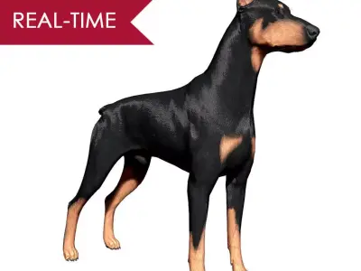 Doberman Real-Time Low-poly 3D model