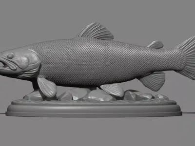 Brown trout fish on the base 3D print model