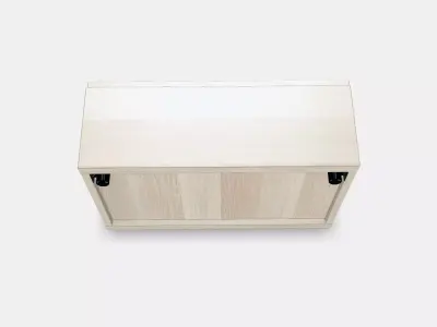 BESTA Shelf unit with door 48 Low-poly 3D model
