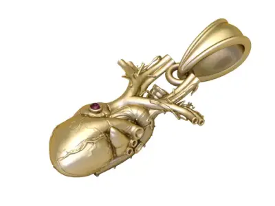 Luxury Anatomical Heart Pendant 3D Printable Art Jewelry 3D print model