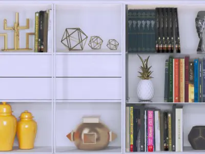 Big Set bookcase with two paintings 3D model