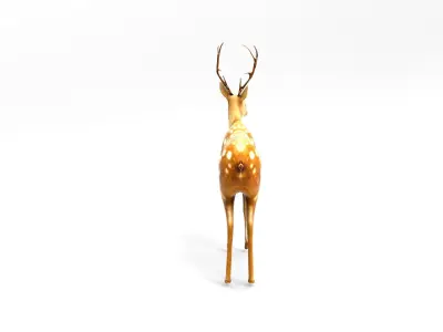 Deer Rigged  Low-poly 3D model
