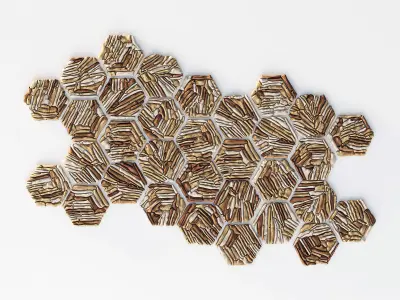 Hexagon panel branch splinter n2 3D model