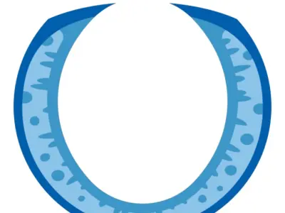 TwindBricks3D - 21349 Tuxedo Cat 3D print model