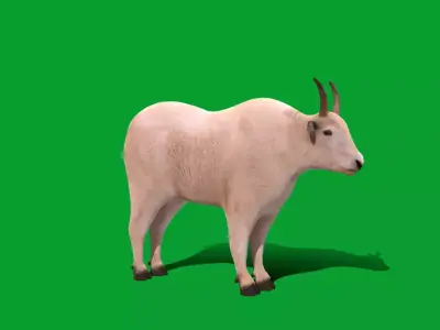 Mountain Goat Low-poly 3D model