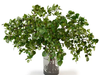 Branches in a vase 020 3D model