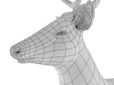 Deer Base Mesh Low-poly 3D model
