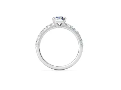 ZDR093 princess cut diamond engagement ring 3D print model