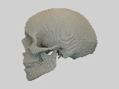 Voxel Skull Low-poly 3D model