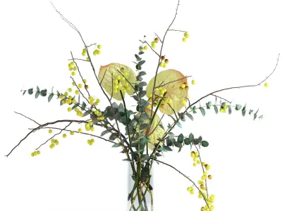 Green anthurium and Crabapple and Eucalyptus 3D model