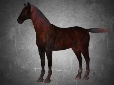 Horse - Pack 01 3D model