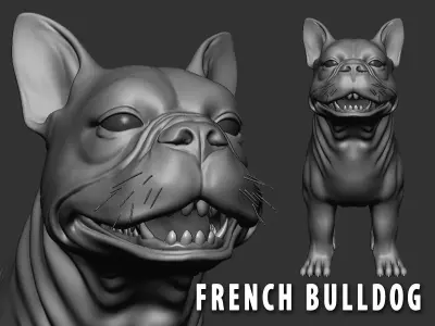 French Bulldog 3D model